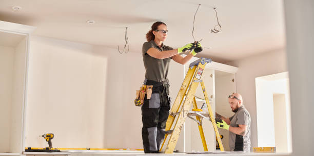 Best Local Electrician Companies  in Meridian, CO
